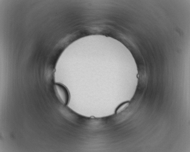 X0000113780574200910211208