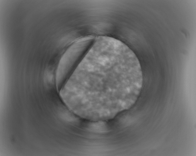 X0000113780576200910211208