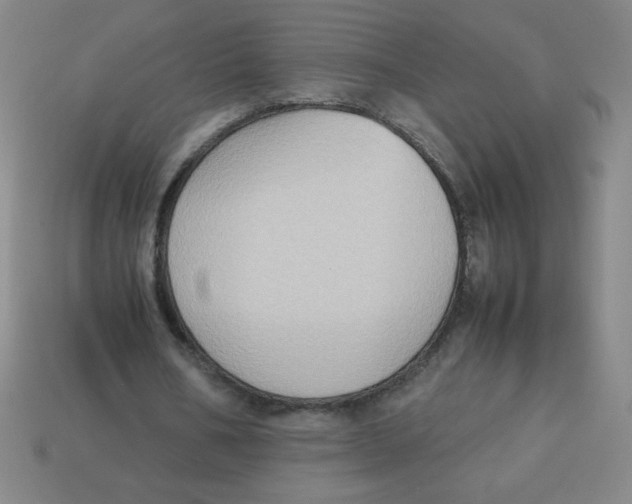 X0000113780578200910211207