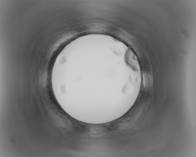 X0000113780579200910211207