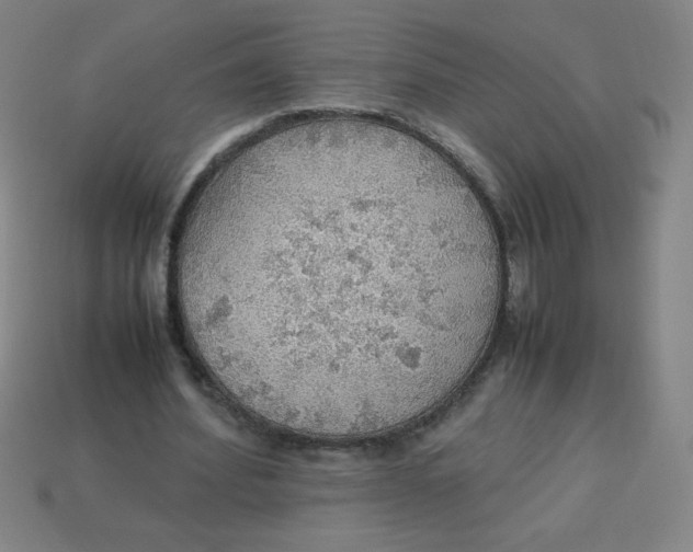 X0000113780580200910211207