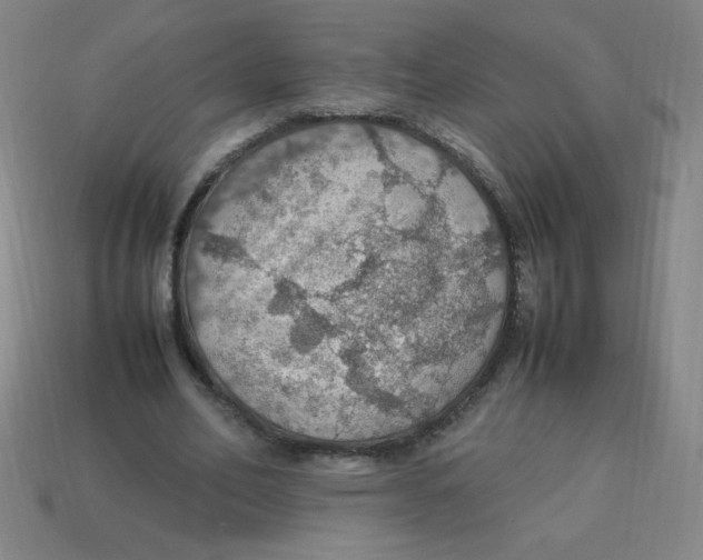 X0000113780582200910211207