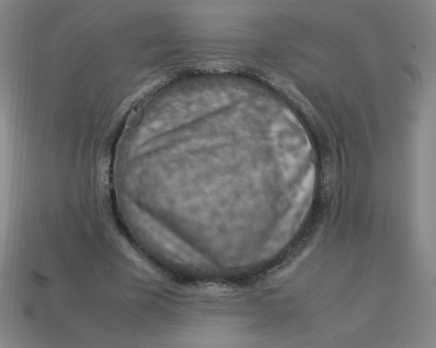 X0000113780585200910211207