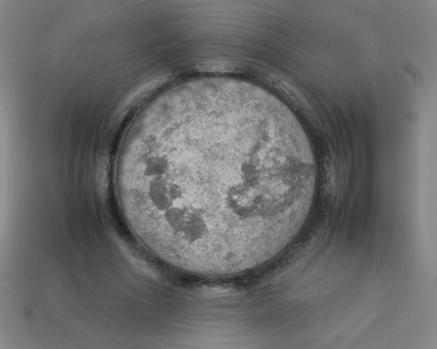 X0000113780586200910211207