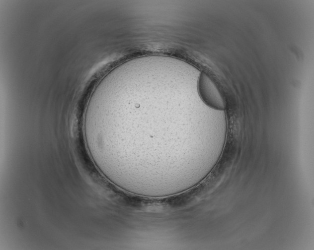 X0000113780587200910211207