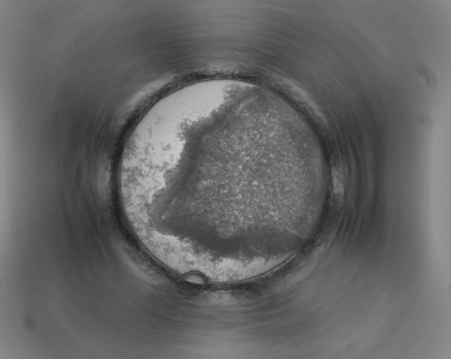 X0000113780588200910211207