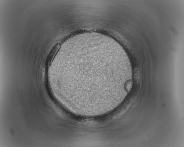 X0000113780589200910211207