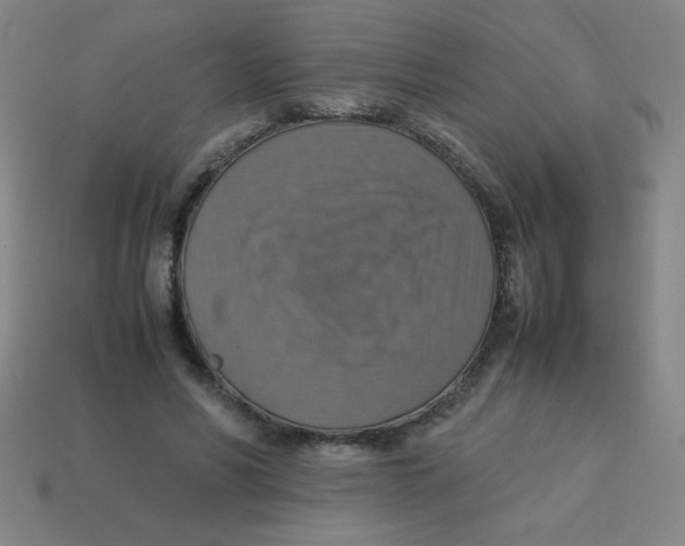 X0000113780590200910211207