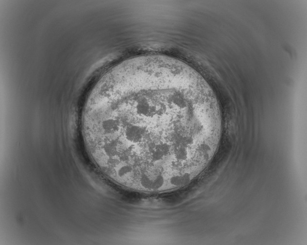 X0000113780591200910211207