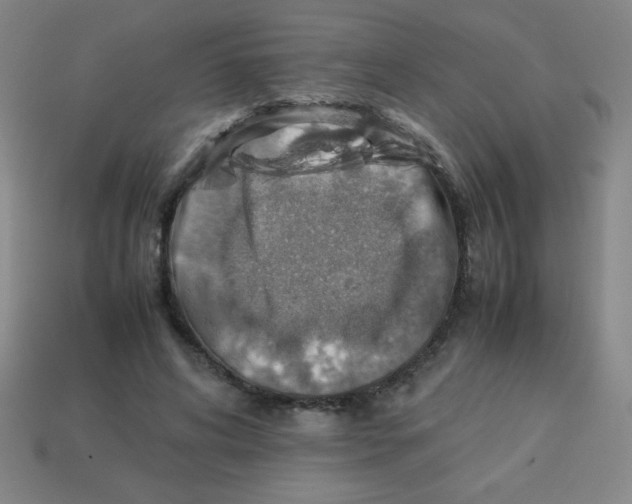 X0000113780592200910211207