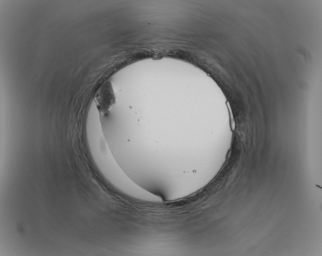 X0000113780593200910211207