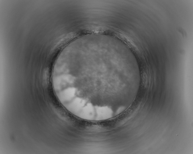 X0000113780594200910211207