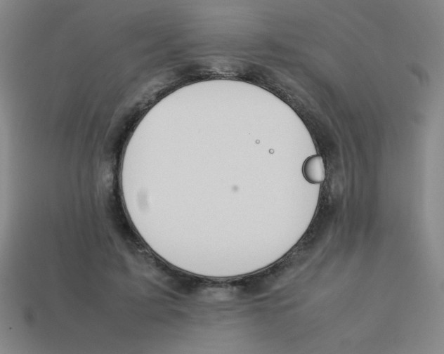 X0000113780595200910211207