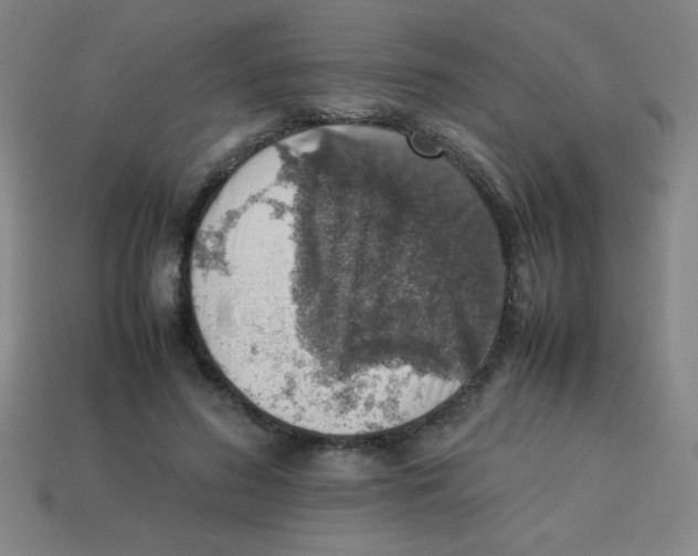 X0000113780596200910211207