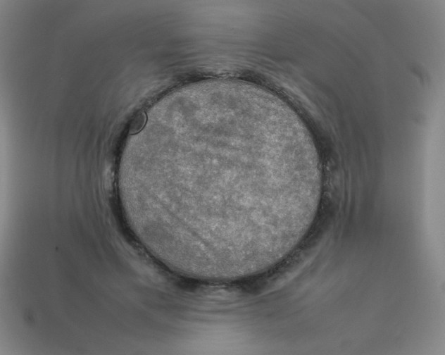 X0000113780597200910211207