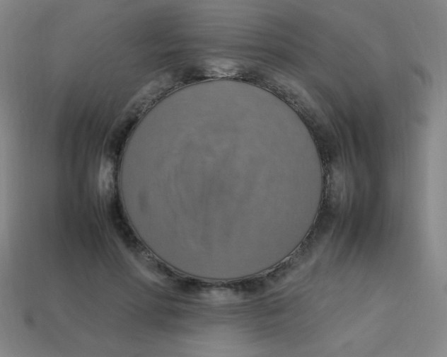 X0000113780598200910211207