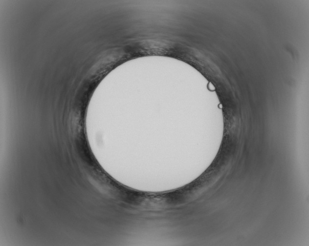 X0000113780599200910211207
