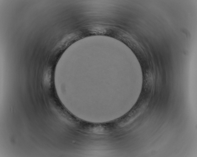 X0000113780600200910211207