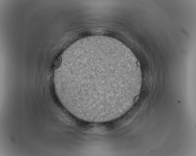 X0000113780601200910211207