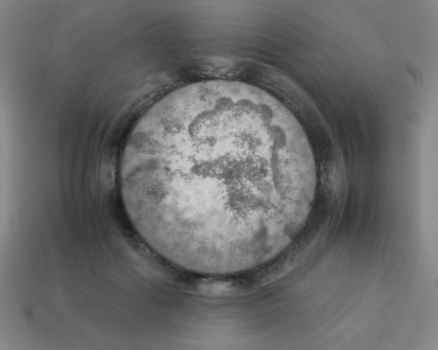 X0000113780602200910211207