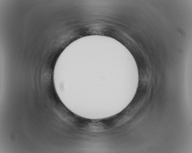 X0000113780603200910211207