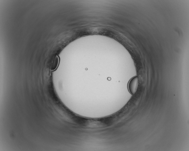 X0000113780605200910211207