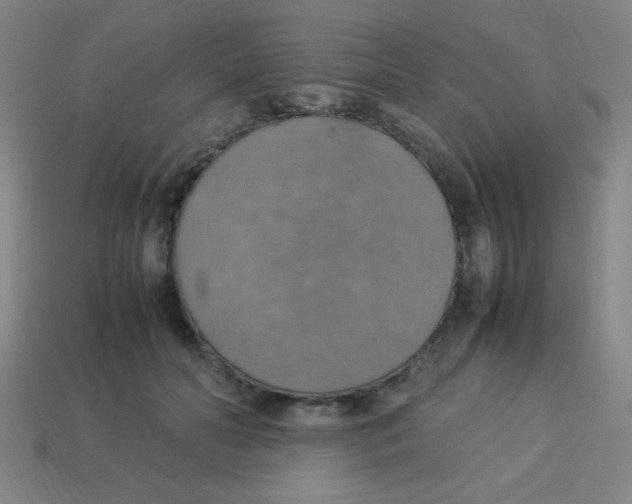 X0000113780606200910211207