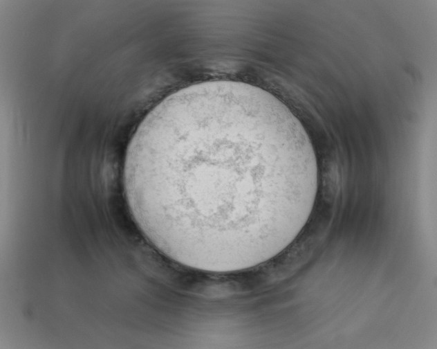X0000113780608200910211207