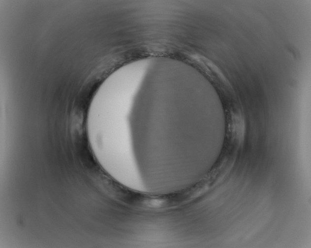 X0000113780610200910211207