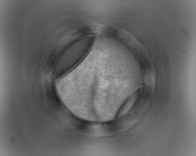 X0000113780611200910211207