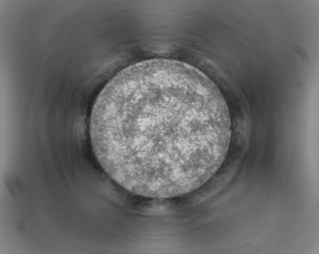 X0000113780612200910211207