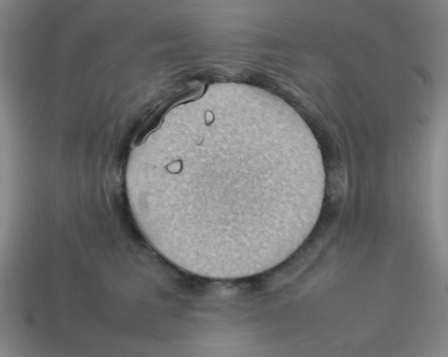 X0000113780613200910211207
