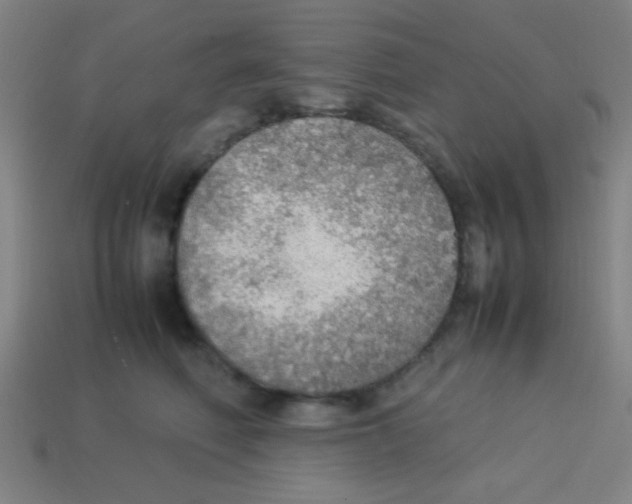 X0000113780614200910211207