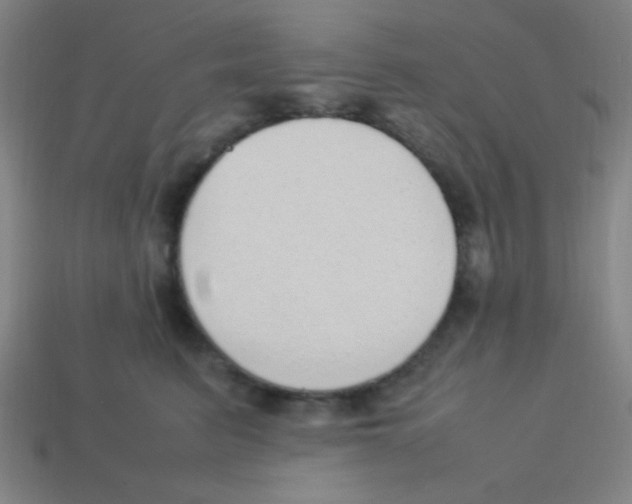 X0000113780615200910211207