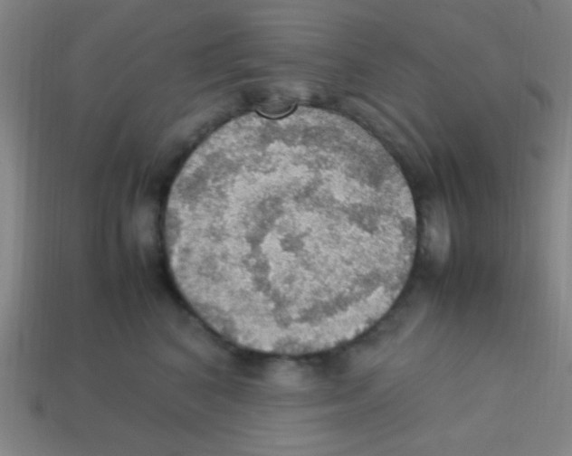 X0000113780616200910211207