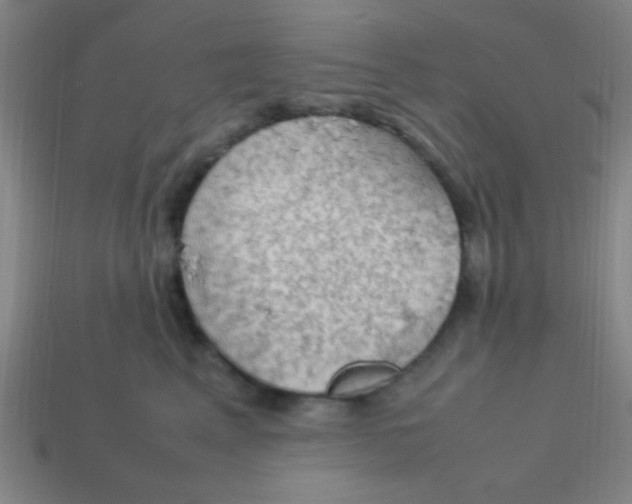 X0000113780617200910211207