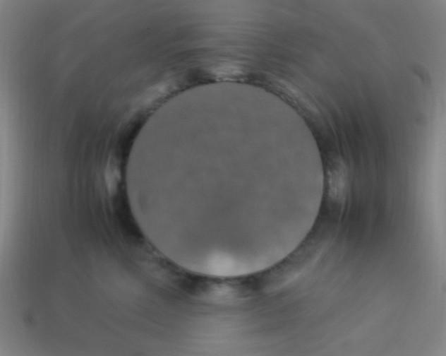 X0000113780618200910211207