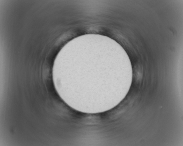X0000113780619200910211207