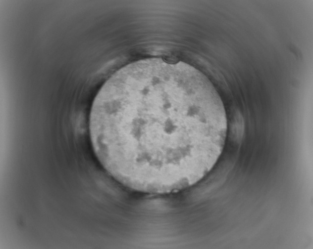 X0000113780620200910211207