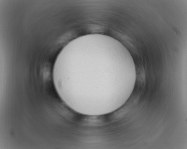 X0000113780622200910211207