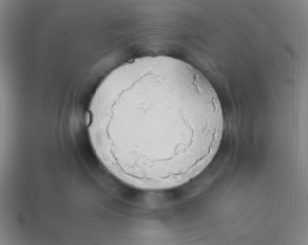 X0000113780623200910211207