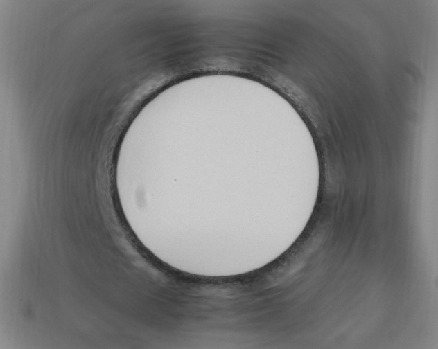 X0000113780625200910211206