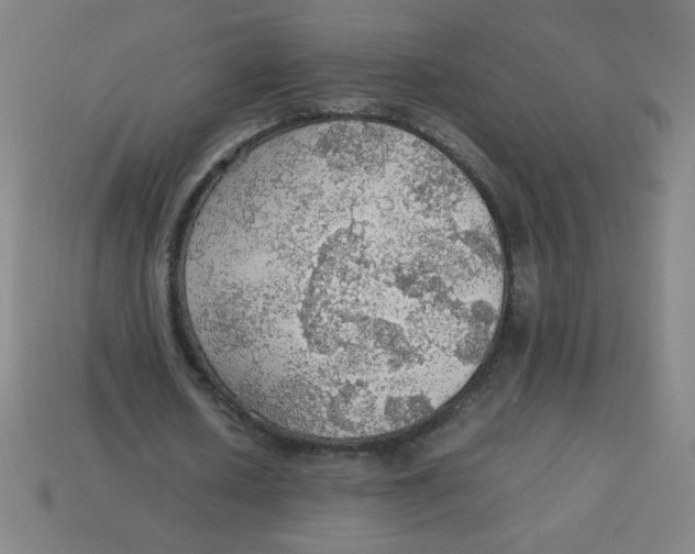 X0000113780626200910211206