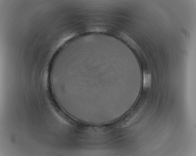 X0000113780627200910211206