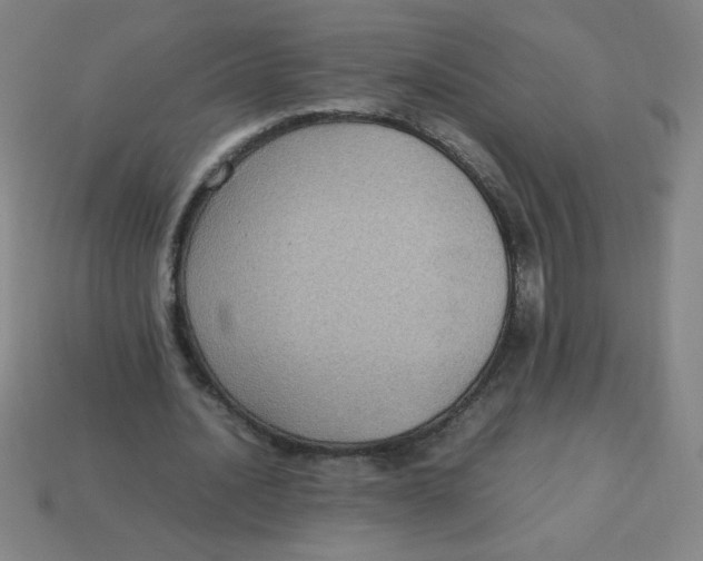 X0000113780628200910211206