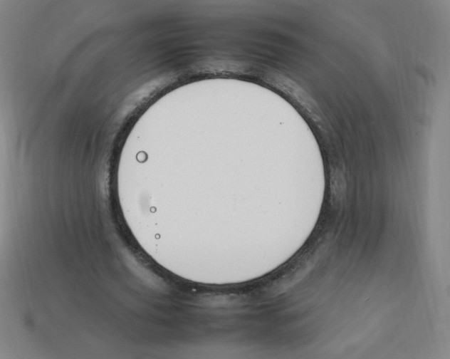 X0000113780629200910211206