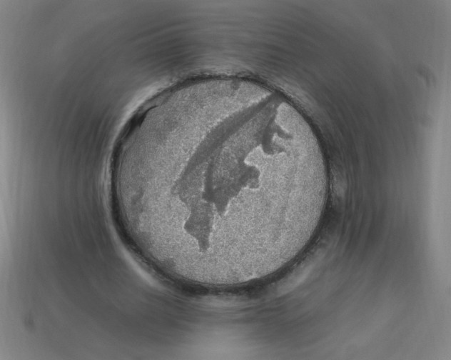 X0000113780630200910211206