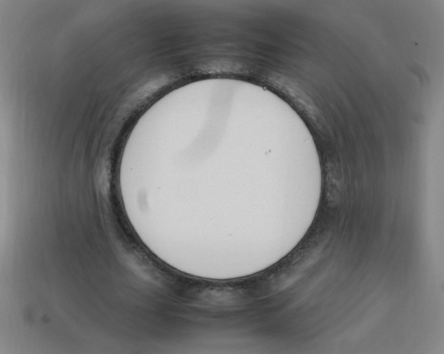 X0000113780631200910211206