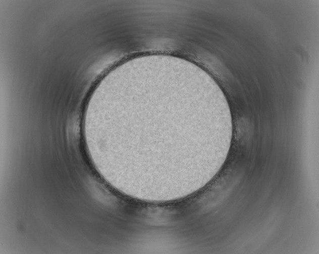 X0000113780632200910211206