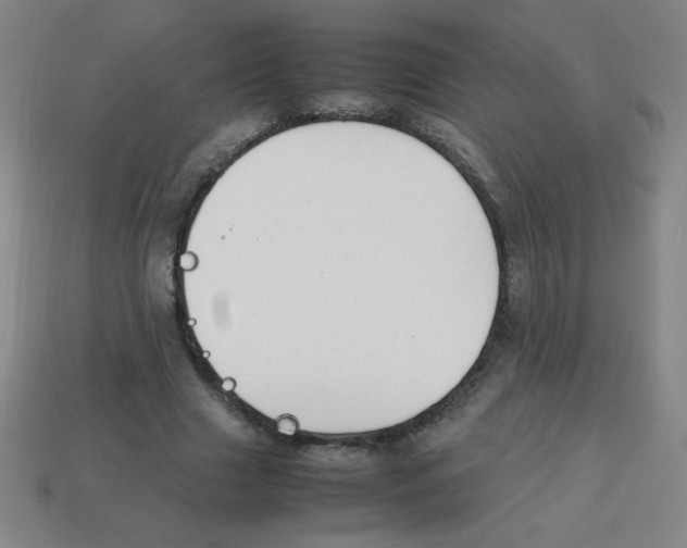 X0000113780633200910211206